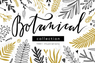 Download Botanical Collection - Premium Resources